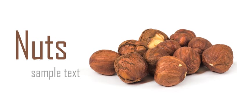 Hazel nut isolated on white background
