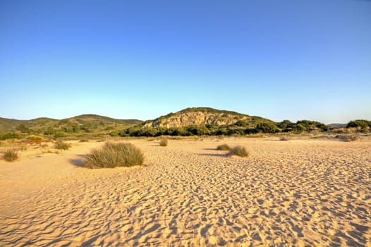 Dunes and sand at the atlantic ocean in Portugal