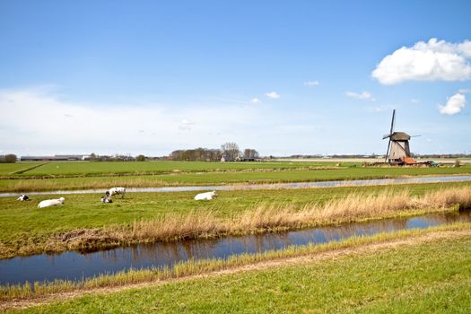 Historical windmill in typical dutch landscape