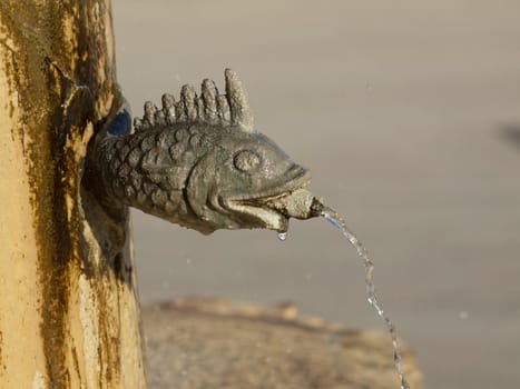 fish fountain and clear water