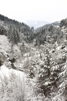 Winter landscape from Rodopi Mountains, Bulgaria