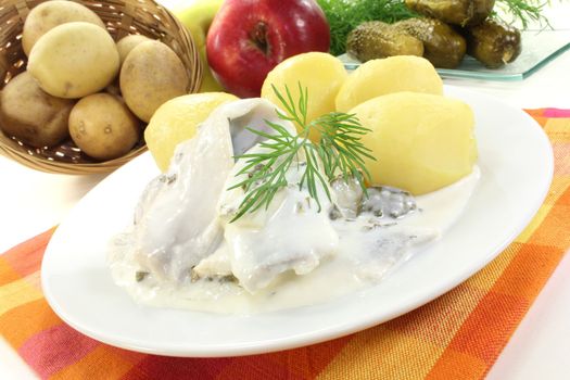 cream marinated herring with potatoes, cucumbers and dill