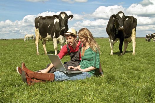 Young couple with laptop between the cows in the countryside from the Netherlands