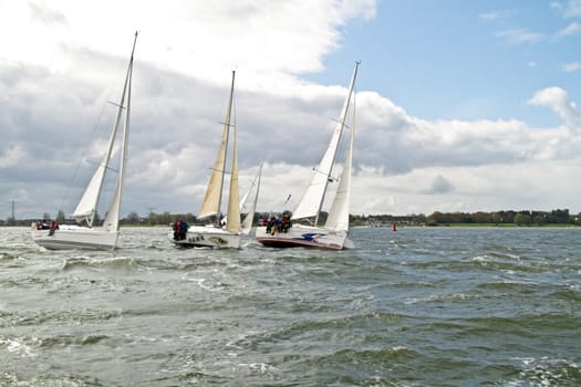 sailing on the IJsselmeer in the Nethrlands