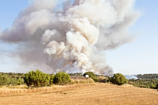 Forest fire in the countryside from Portugal