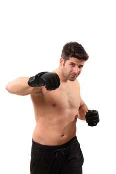 young boxer workout isolated on a white background