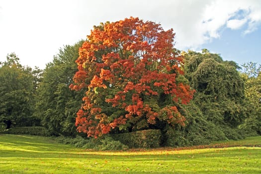 Fall in the Netherlands