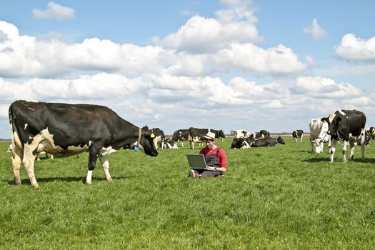 Dutch farmer with his laptop between the cows in the countryside