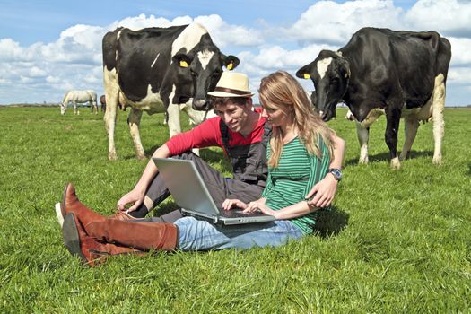 Young couple with laptop between the cows in the countryside from the Netherlands