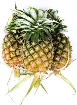 Pineapple on white background