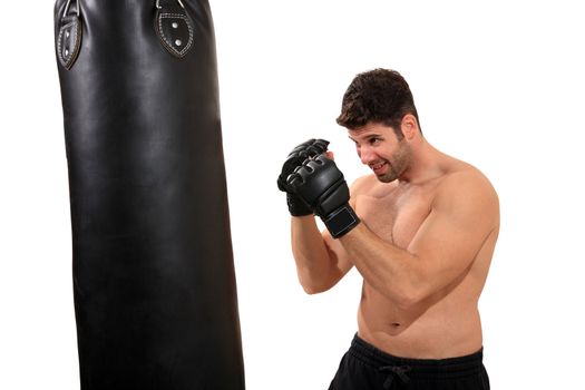 young boxer exercising isolated on a white background