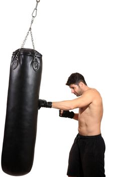 young boxer exercising isolated on a white background