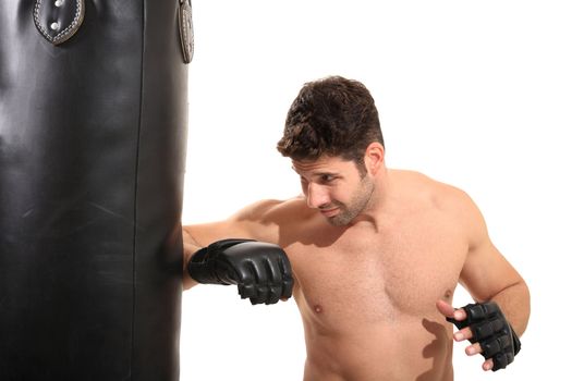 young boxer exercising isolated on a white background