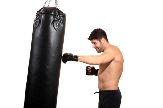 young boxer exercising isolated on a white background