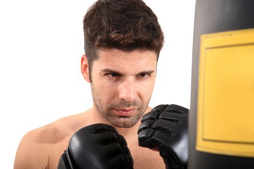 young boxer exercising isolated on a white background