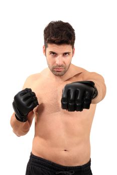 young boxer exercising isolated on a white background