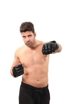 young boxer exercising isolated on a white background