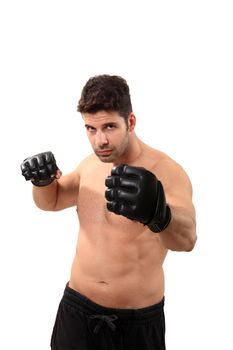 young boxer exercising isolated on a white background