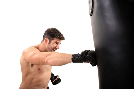 young boxer exercising isolated on a white background