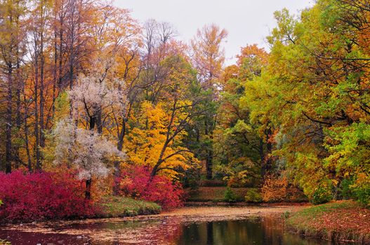 Autumn landscape. Russia. St. Petersburg