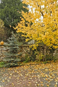 Detail of a garden in autumn