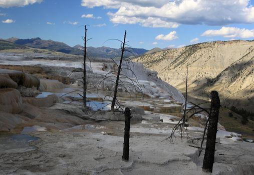 Mammoth Hot Springs and dead trees and small lakes
