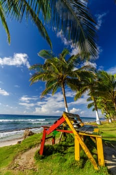 A colorful bench and palm trees in San Andres, Colombia