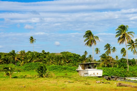 Old out of use boat in lush green tropical environment in San Andres, Colombia