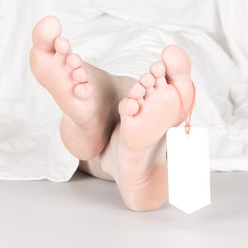 Relaxed dead body with toe tag, under a white sheet, relaxed