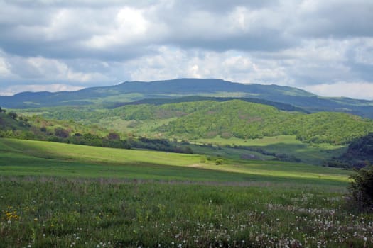 Summer flowers cover the meadow, sunny hills in the distance