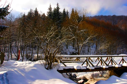 Bridge on torrent on winter