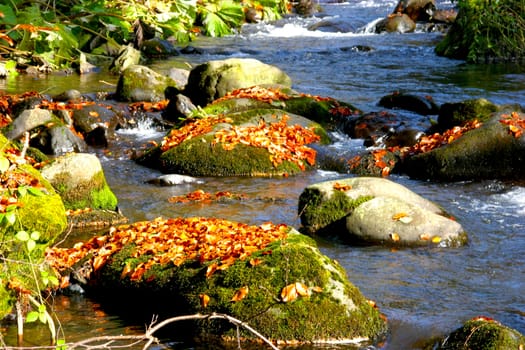 A waterfall with beautiful environment