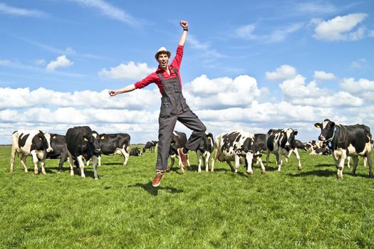 Happy dutch farmer with his cows in the countryside from the Netherlands