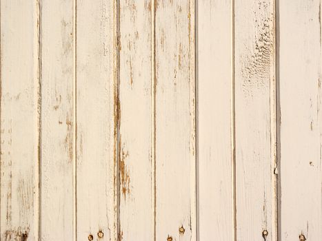 old wooden panel background in grunge style