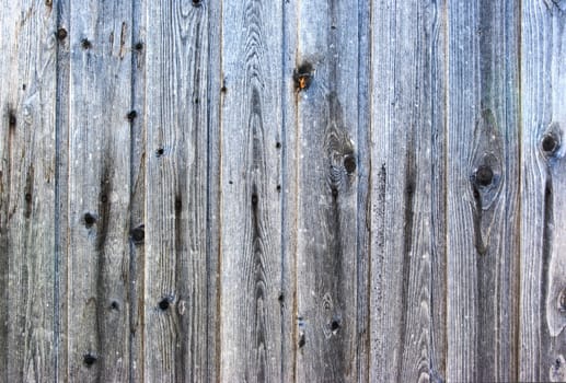 old wooden panel background in grunge style