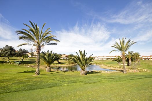 Tropical landscape in Portugal