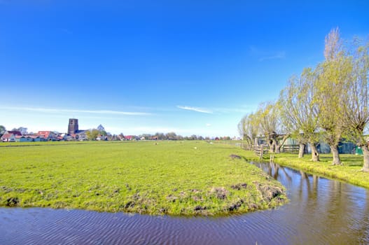 Typical dutch landscape in springtime in the Netherlands