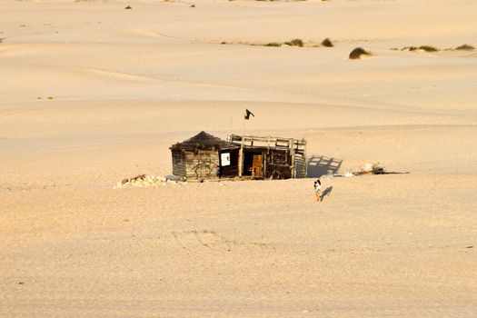 Lonely house in the desert