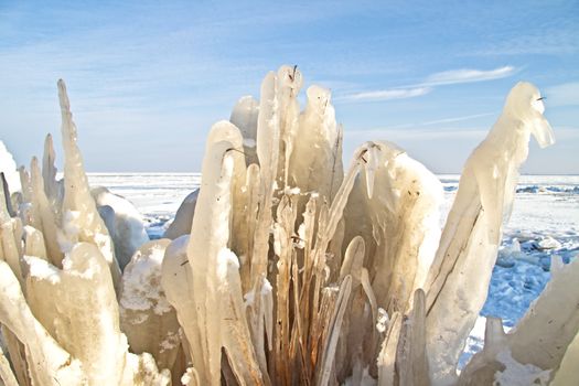 Ice flowers in the IJsselmeer in winter in the Netherlands