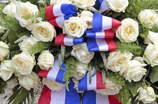 White roses with the dutch national flag