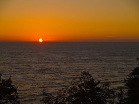 Golden Sunset Over the Ocean wth Trees in the Foreground 