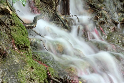 fresh spring water nature detail