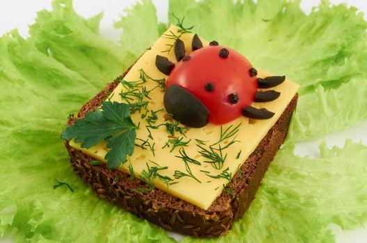 Cheese sandwich garnished with parsley and cherry tomatoes on salad leaves