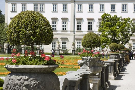 Plants in the Mirabell Park in Salzburg, Austria