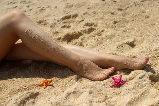 Beautiful long female legs on the beach and vivid starfishes 