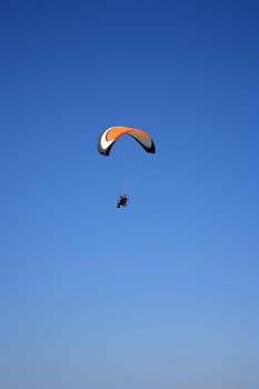 paramotor glider flyes in the air