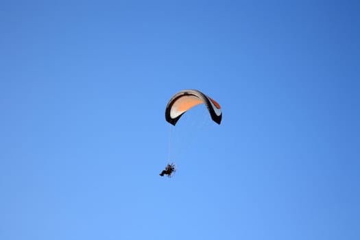 paramotor glider flyes in the air