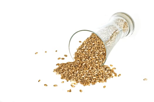 Glass with wheat grains on a white background