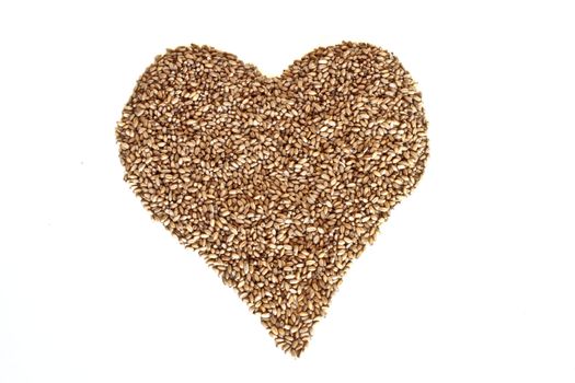 Heart of wheat grains on a white background