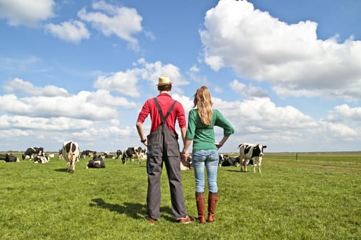 The farmer and his wife proudly looking at their cows in the countryside from the Netherlands